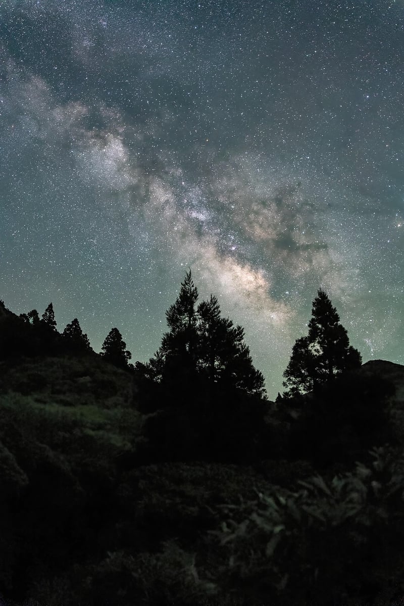 Starry Night Reception